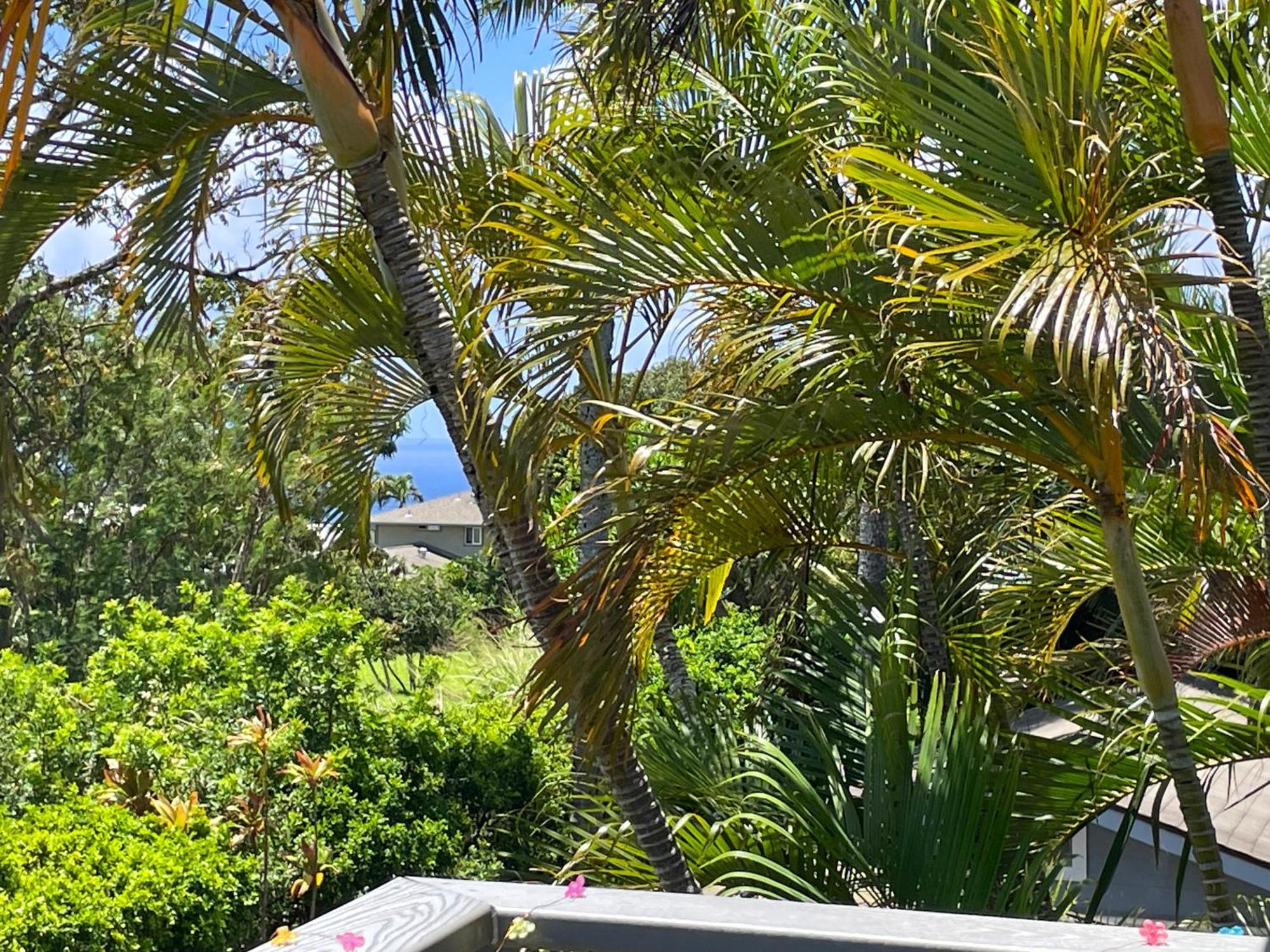 Puu Koa Palms Vacation Rental Haiku Εξωτερικό φωτογραφία